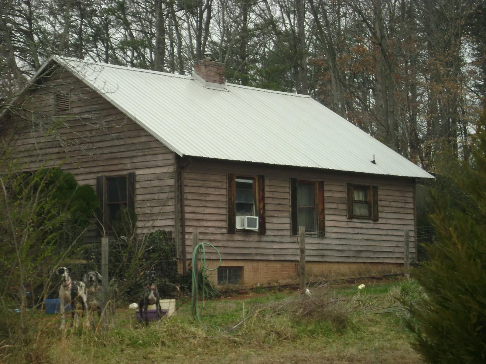 White metal roof on an old wood sided farmhouse, from a Asphalt Shingle Roof Repair job in Piney Point